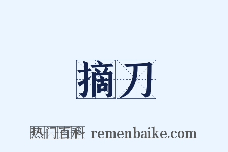 摘刀是什么意思的图片